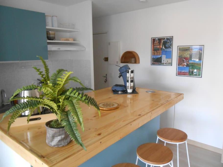 Appartement A La Plage Argelès-sur-Mer Exterior foto